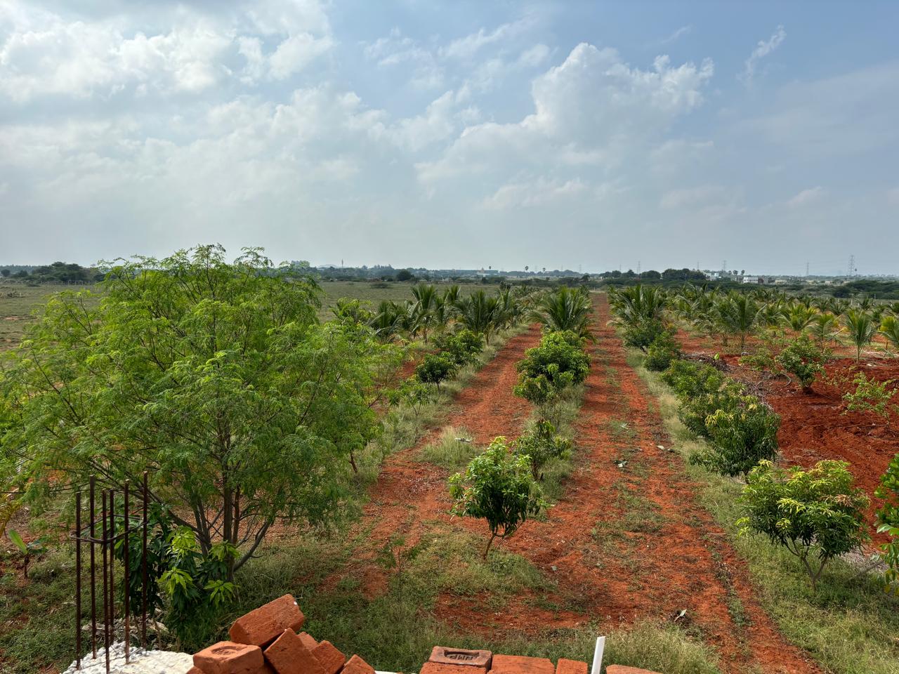 Farm Land